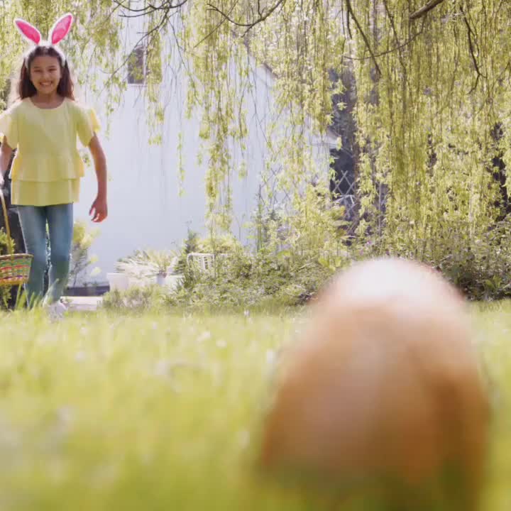 Video post from proximeo.