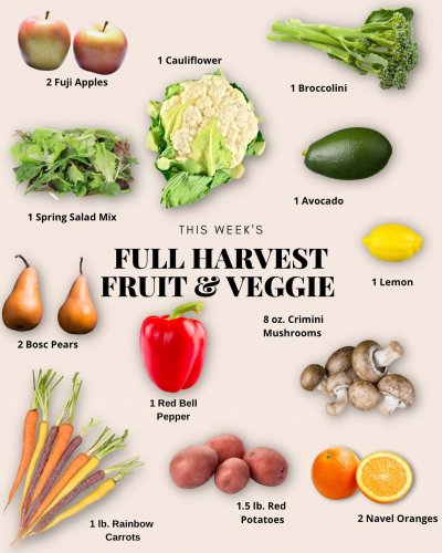 Photo post from farmbox_arizona.