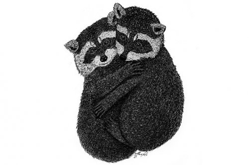 Photo post from ira.martelo.