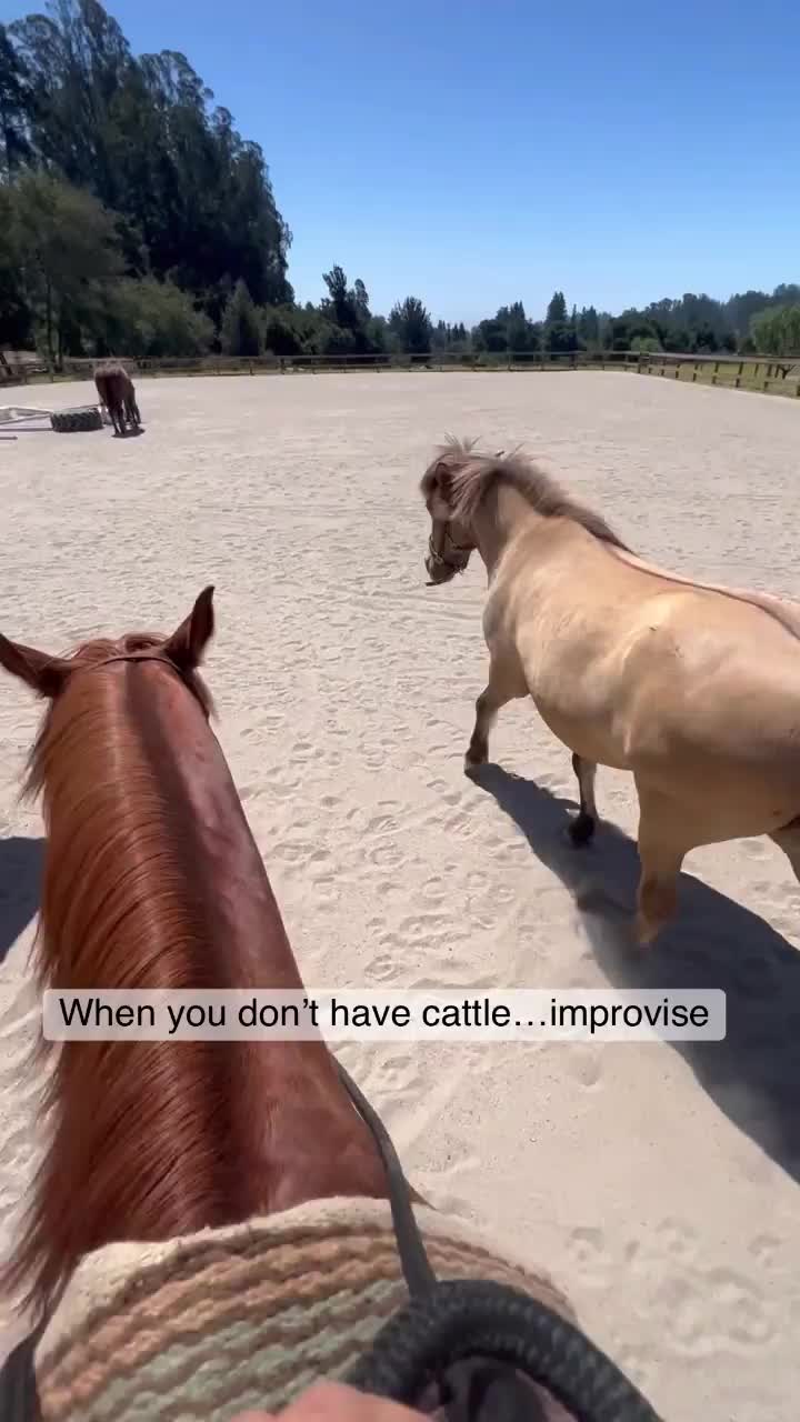 Video post from __amber_lydic__.