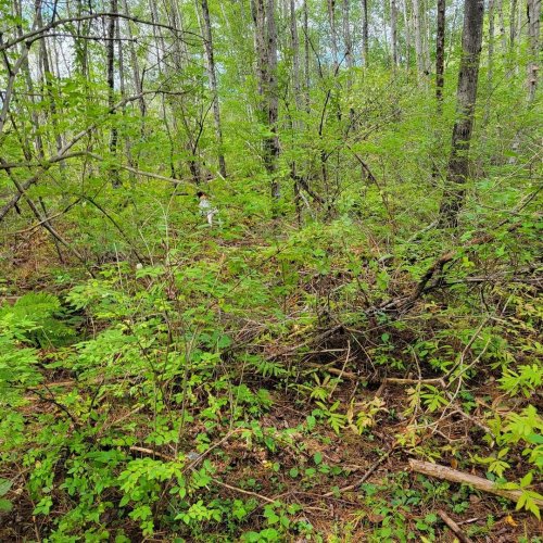 Photo post from reddogguideservice.