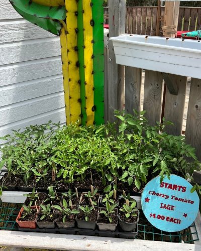 Carousel post from freyaetthor.