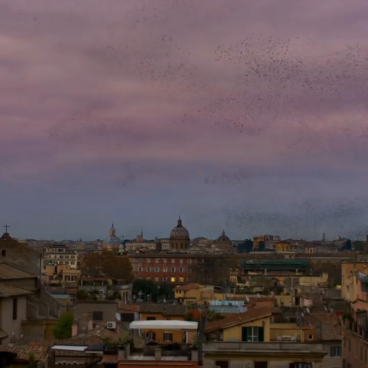 Video post from aurrome.