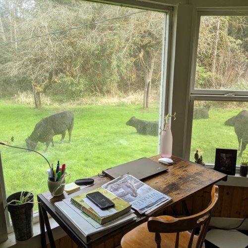 Photo post from hungryhollowfarm.