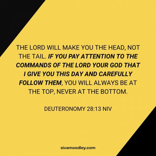 Photo post from drsivamm.