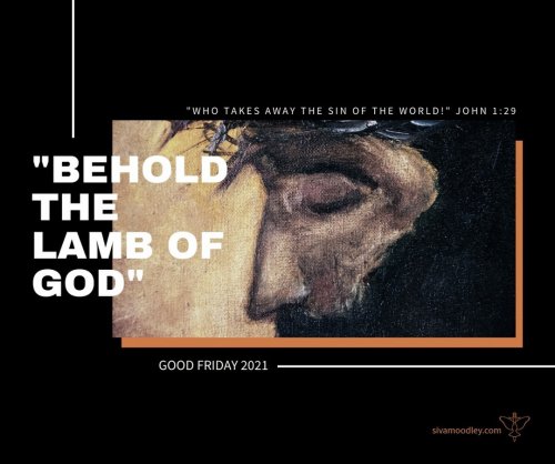 Photo post from drsivamm.