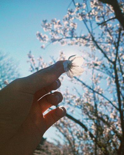 PostPhoto