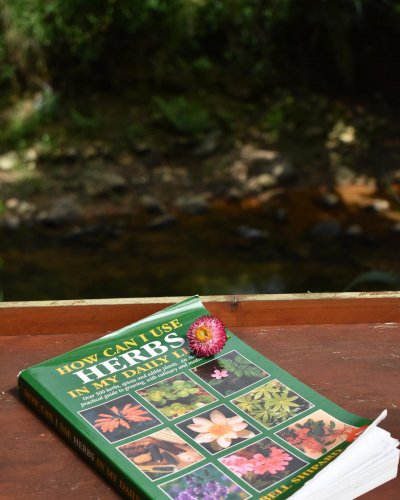 Photo post from currumbinvalleyharvest.