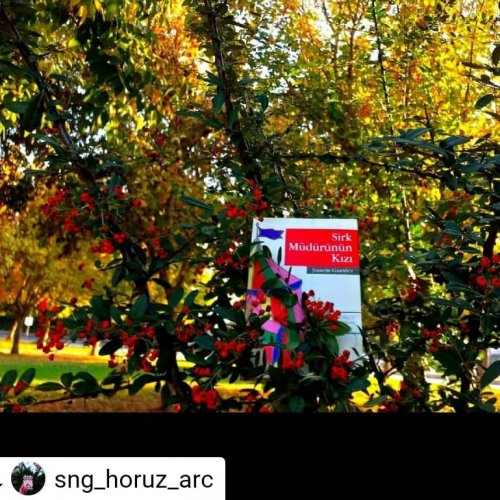 Photo post from panyayinevi.