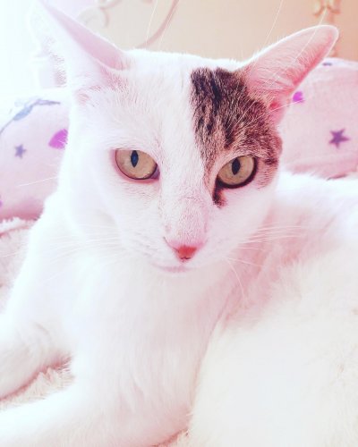 Photo post from margaritabloom.