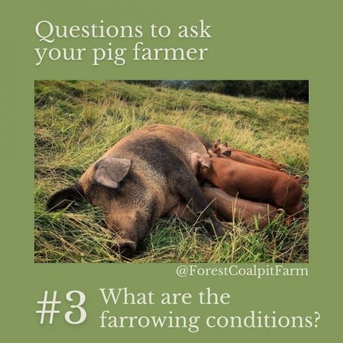 Carousel post from hungryhollowfarm.