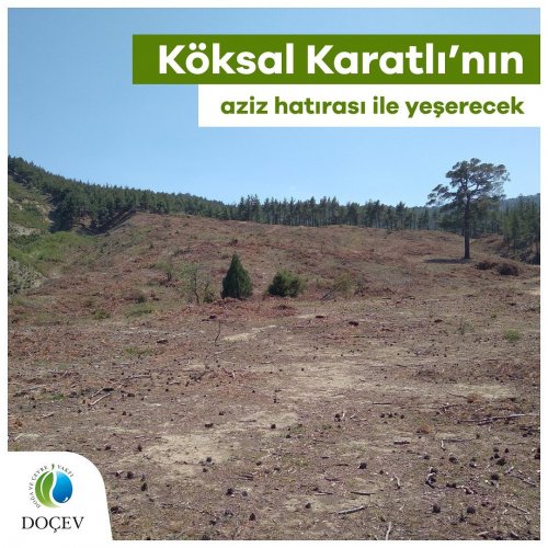 Photo post from dogavecevrevakfi.