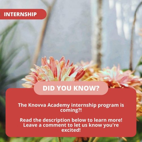 Photo post from knovva_academy.