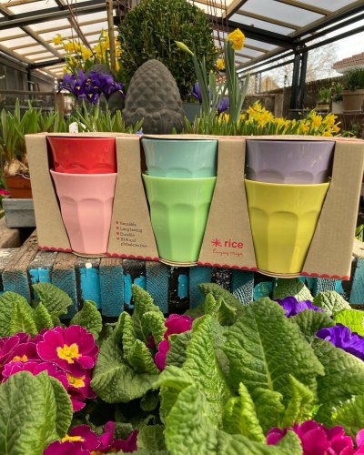Photo post from blomsterborsen.