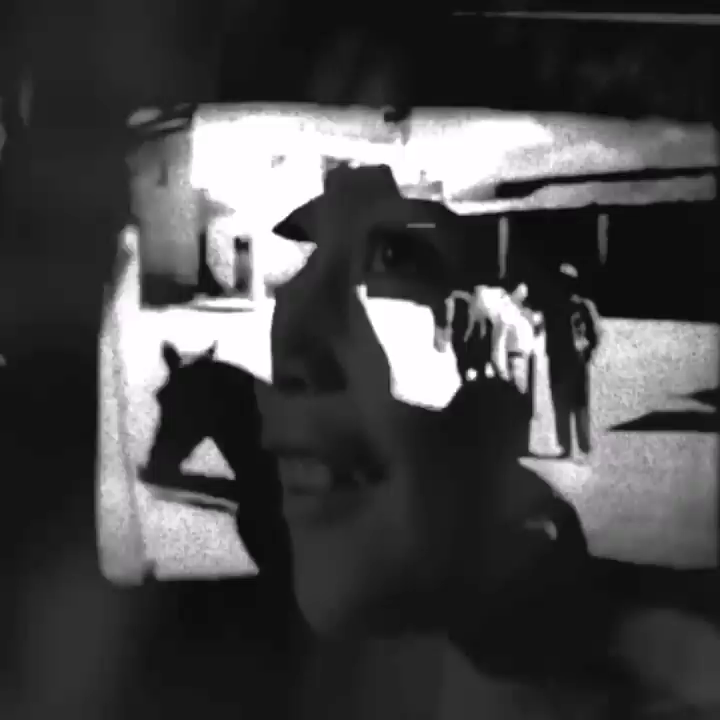 Video post from owae.ga.