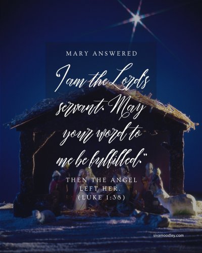 Photo post from drsivamm.