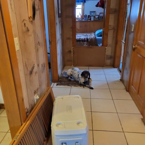 Carousel post from reddogguideservice.