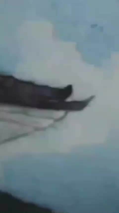 Video post from ira.martelo.