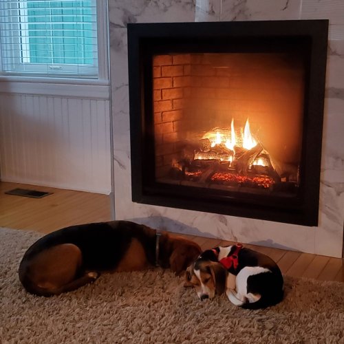 Photo post from regencyfire.