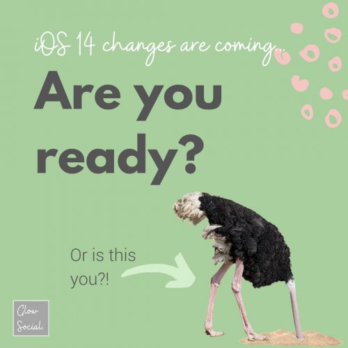 Photo post from glowsocial.uk.