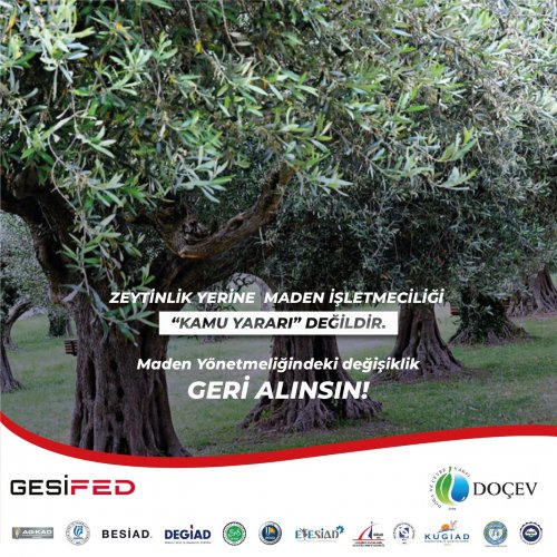 Photo post from dogavecevrevakfi.