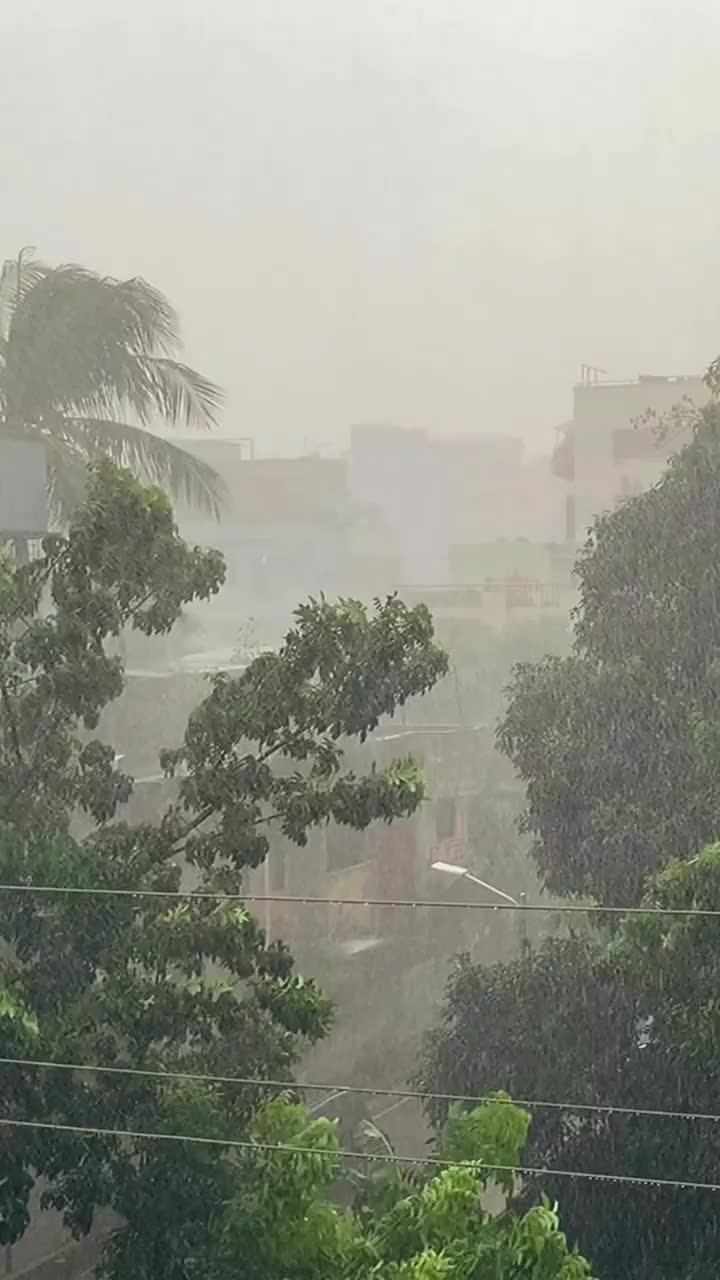 Video post from medha.bee.