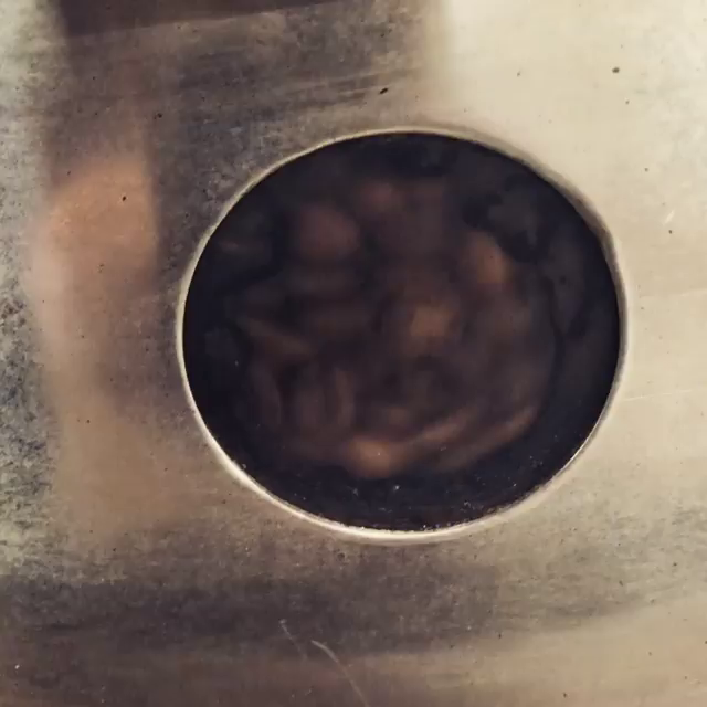 Video post from muddywaterscoffeecompany.