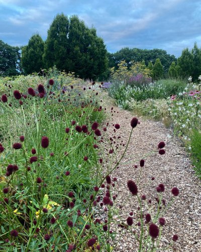 Photo post from sussexprairies.