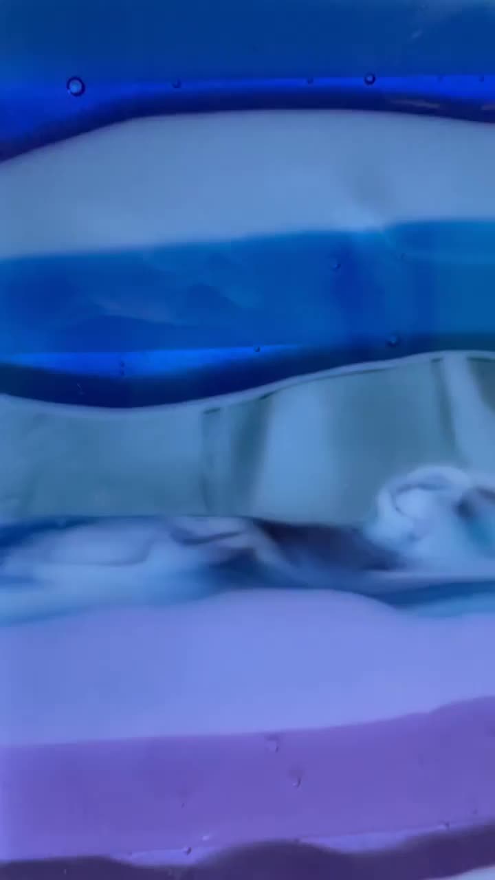 Video post.