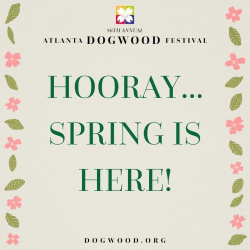 Photo post from dogwoodfestival.