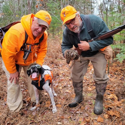 Carousel post from reddogguideservice.