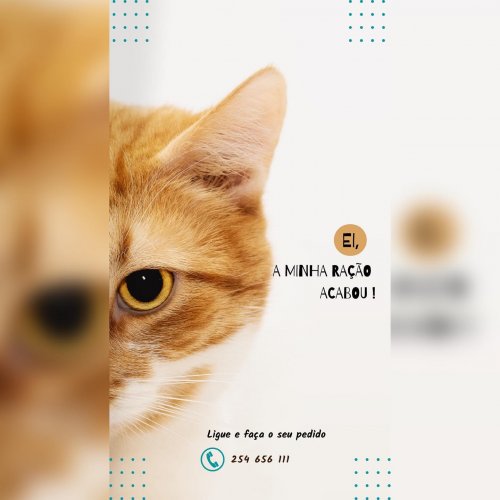 Photo post from clinica_veterinaria_dourosul.