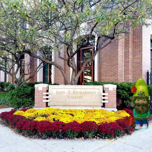 Carousel post from depaul_library.