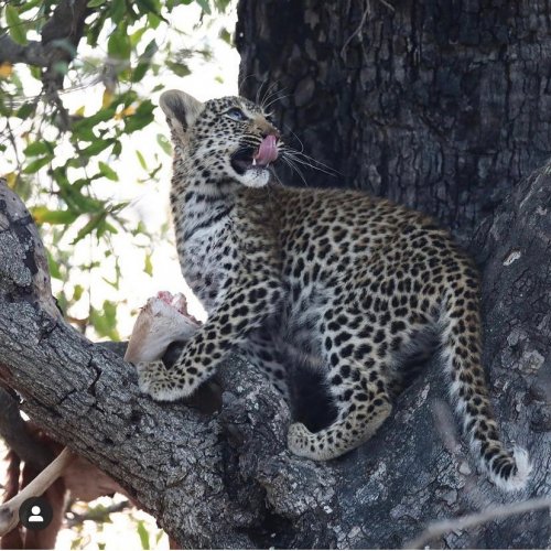 Photo post from taucktravel.