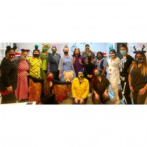 Photo post from familyanimalhospitalcm.