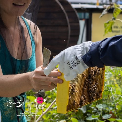 Photo post from comvita_nz.