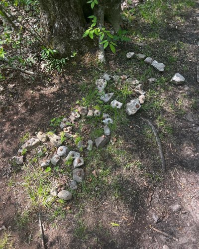 Carousel post from trekdirtyto.me.