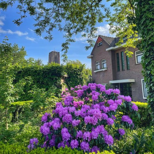 Photo post from visitoirschot.
