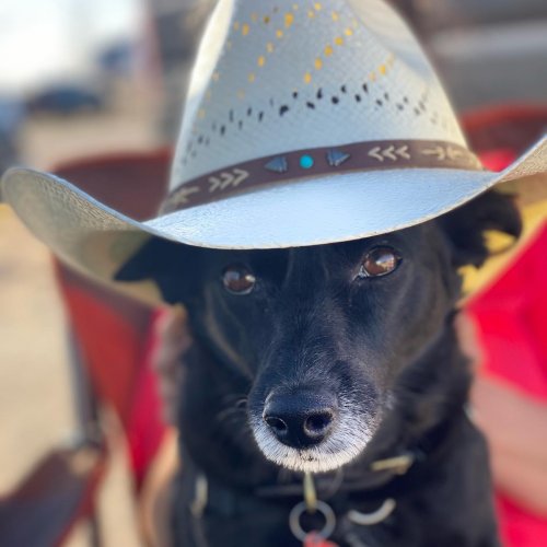 Photo post from freyaetthor.