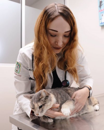 Carousel post from medicalpettj.