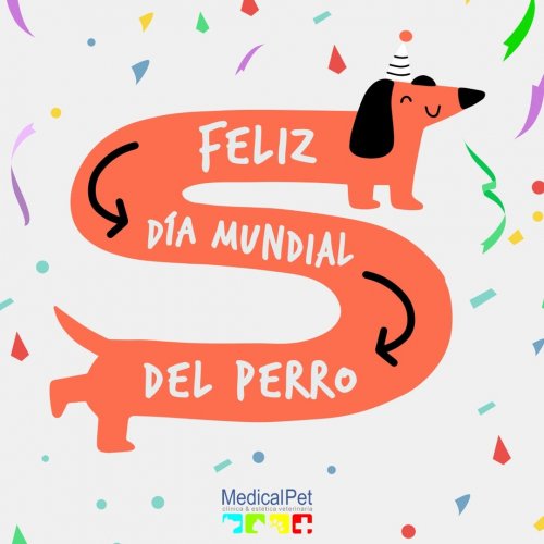 Photo post from medicalpettj.