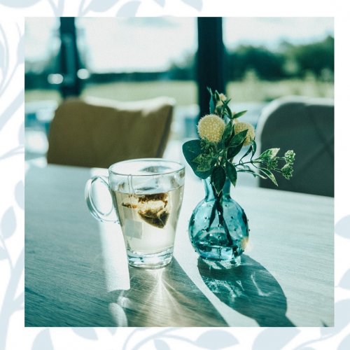 Photo post from glasshouseretreat.