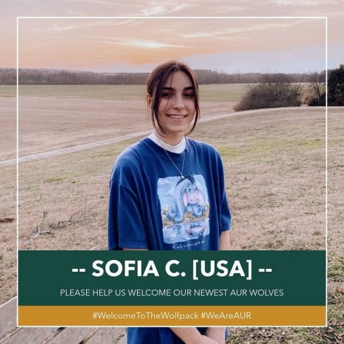 Carousel post from aurrome.