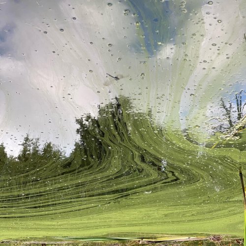 Photo post from freyaetthor.