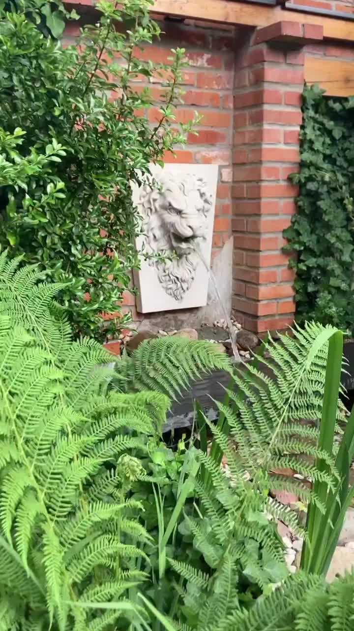 Video post from chronos_collection.