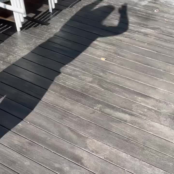 Video post from azischooloftaiji.