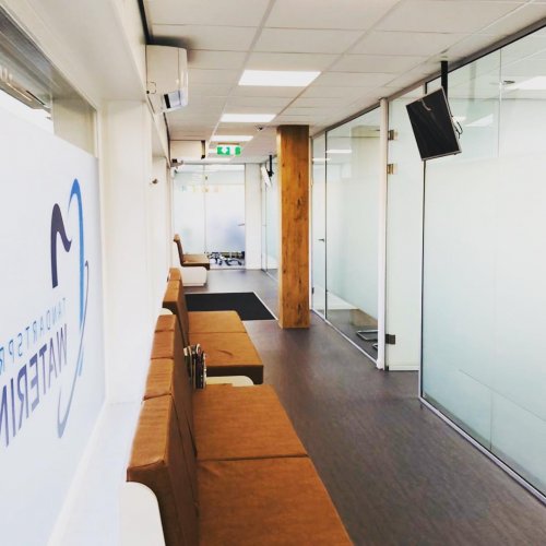 Photo post from signkings.