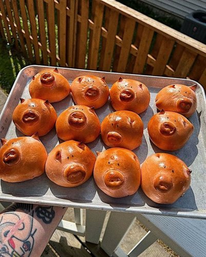 Photo post from zuckercreme.