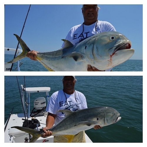Photo post from drum_man_charters.