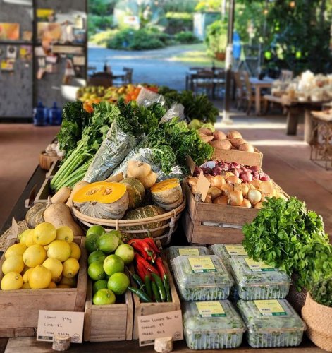 Photo post from currumbinvalleyharvest.